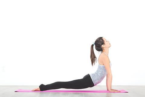 An upward dog pose in yoga